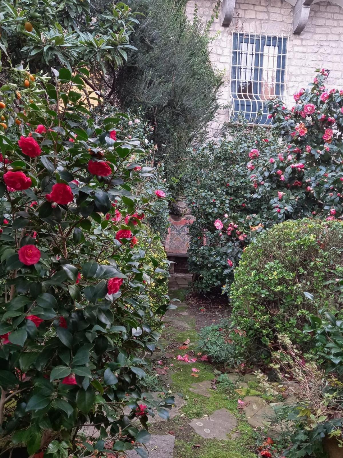 L'Antica Dimora Villa Meta Dış mekan fotoğraf