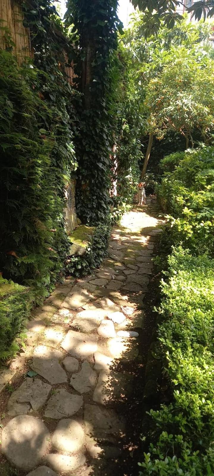 L'Antica Dimora Villa Meta Dış mekan fotoğraf