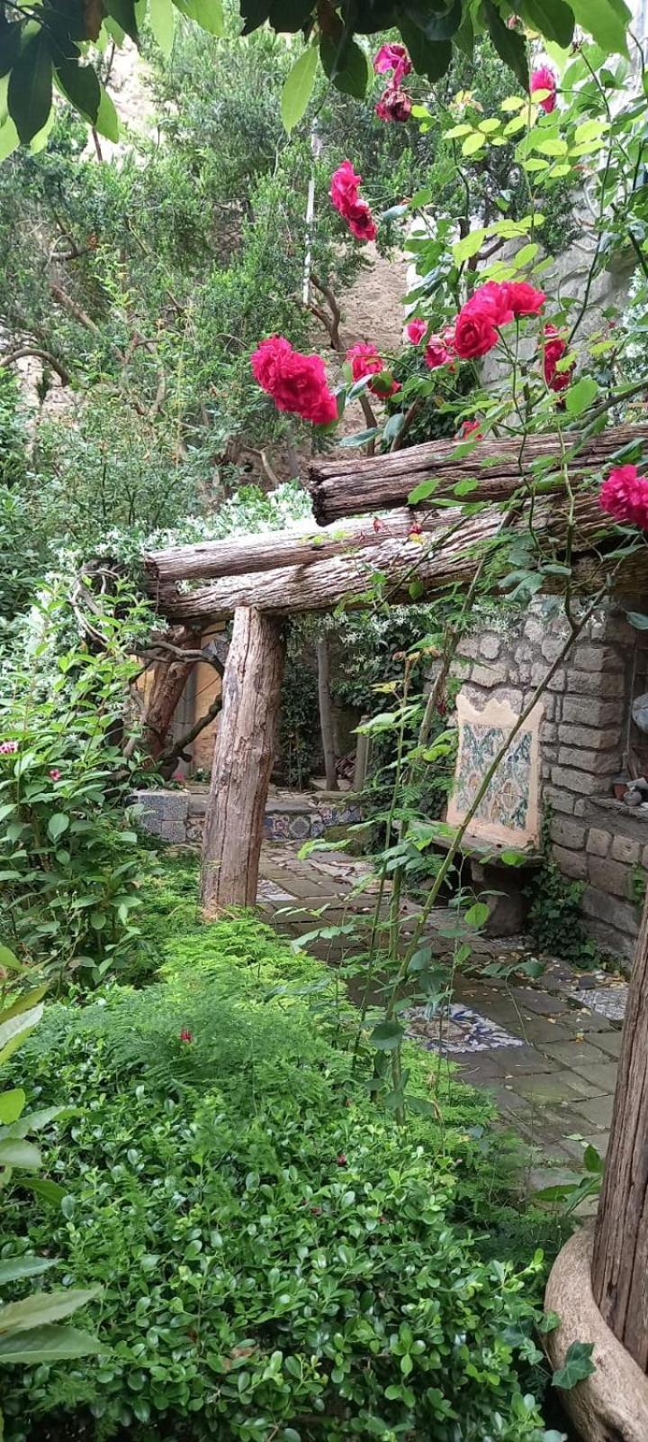 L'Antica Dimora Villa Meta Dış mekan fotoğraf