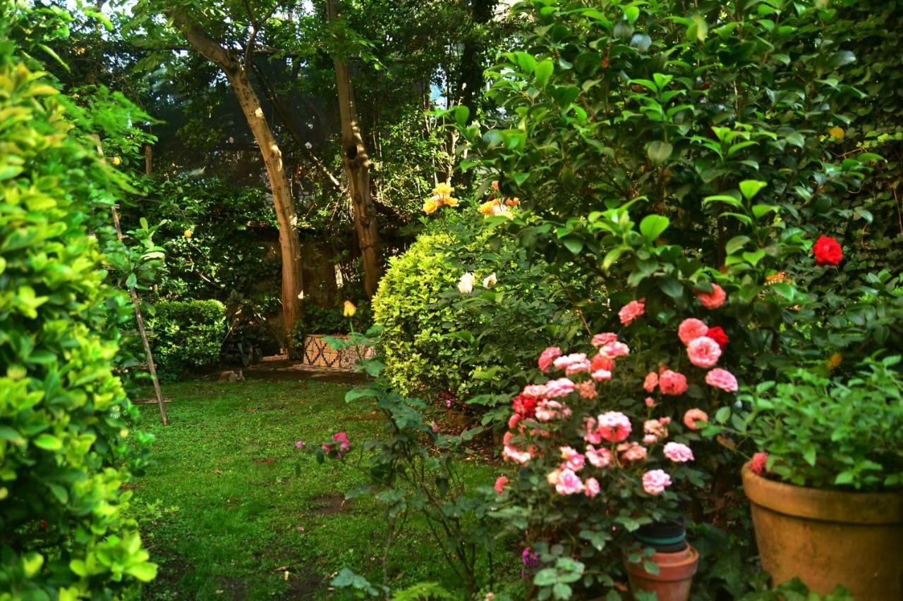 L'Antica Dimora Villa Meta Dış mekan fotoğraf