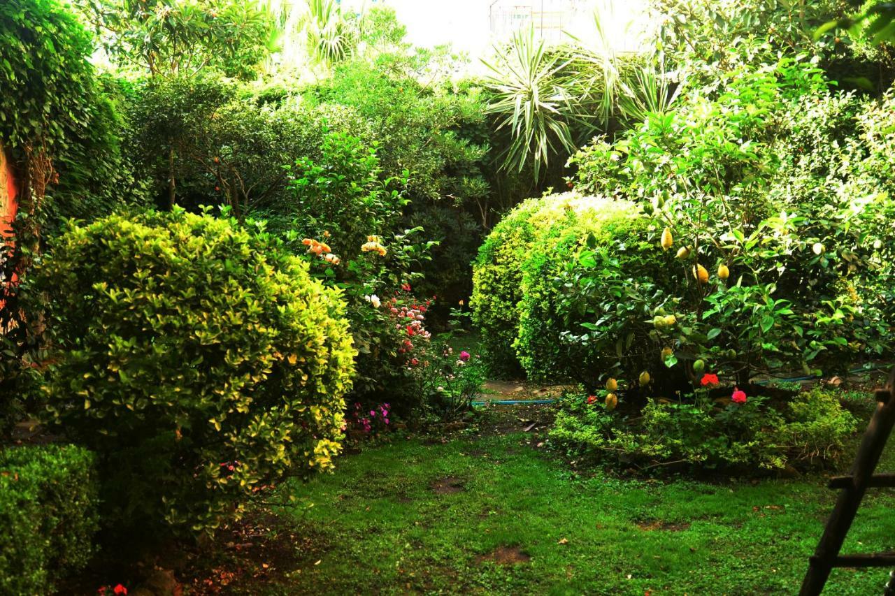 L'Antica Dimora Villa Meta Dış mekan fotoğraf