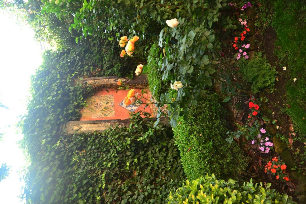 L'Antica Dimora Villa Meta Dış mekan fotoğraf
